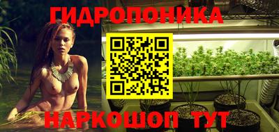 мяу мяу мука Кунгур