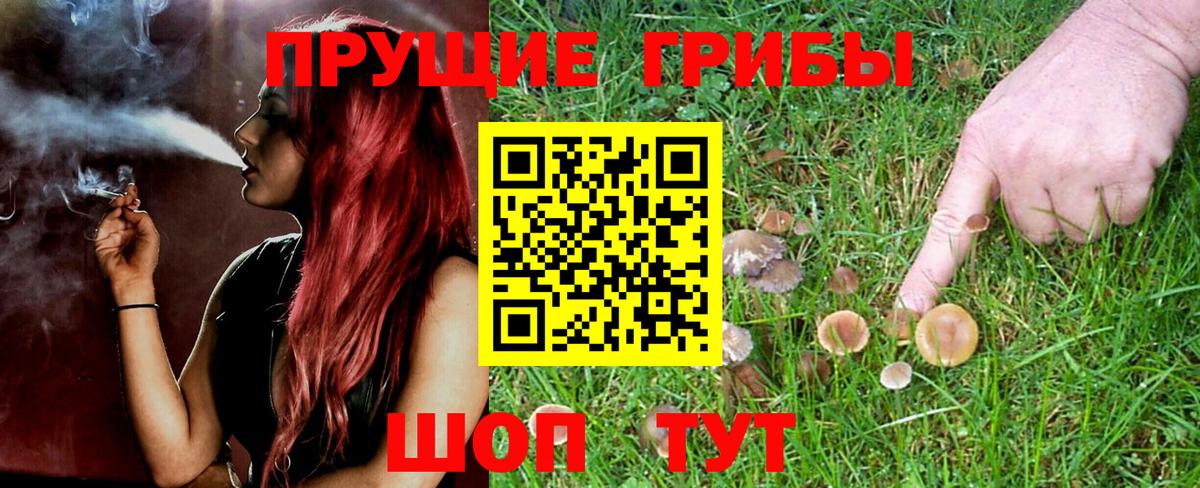 Псилоцибиновые грибы прущие грибы  Вход с VPN  Хабаровск 